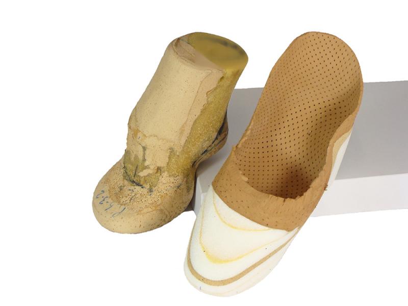 220_smallpiedeequino